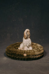 The Lola Bubble Pet Bed | Fern Green
