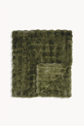Fern Green