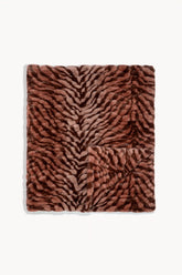 Terracotta Zebra