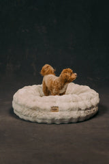 The Lola Bubble Pet Bed | Cappuccino