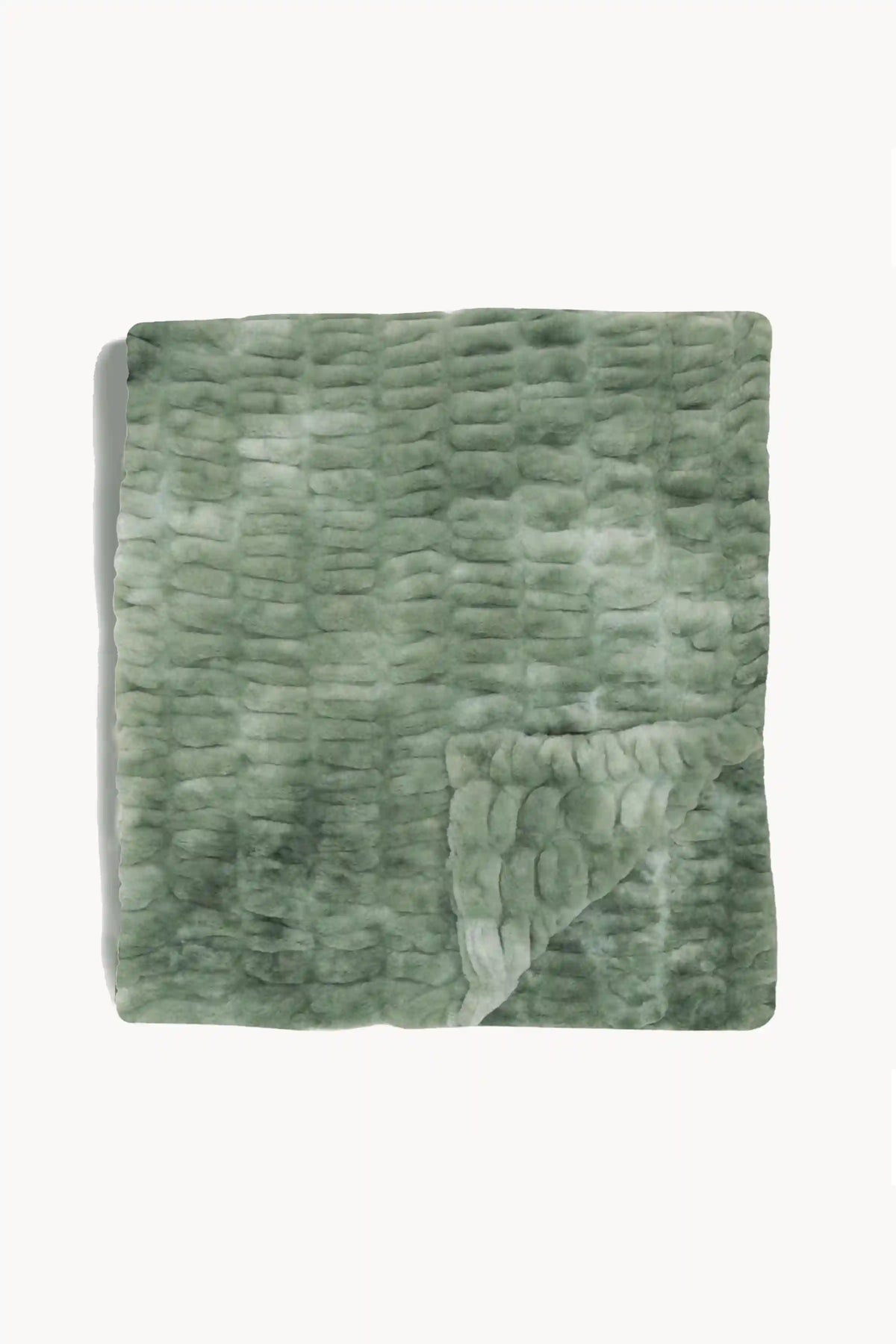 Lily Pad