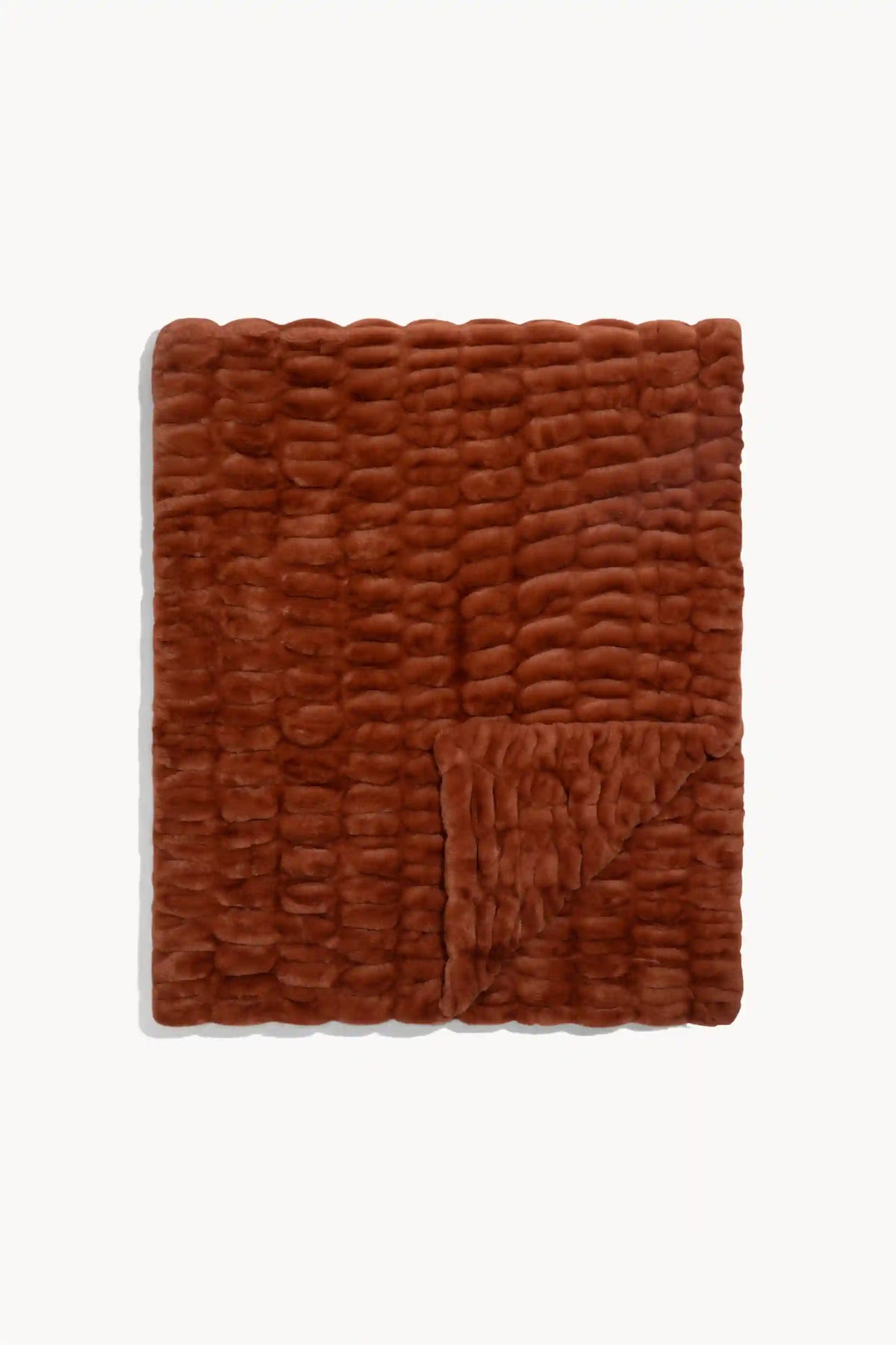 Terracotta