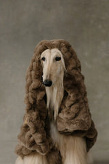 The Lola Pet Blanket | Desert Dune