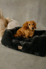 The Lola Pet Bed | Charcoal Grey