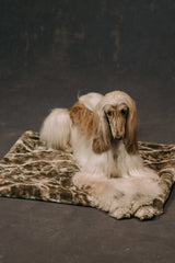 The Lola Pet Pad | Sagebrush Camo